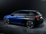 Peugeot-308_GTi 2.jpg